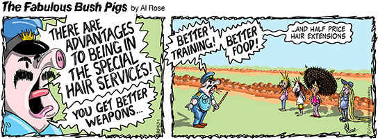 Hairdo colour comic strip 6