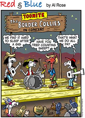 Red and Blue Border Collies Band