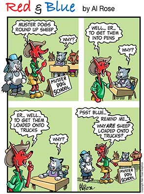 Red and Blue Why Sheep Loaded